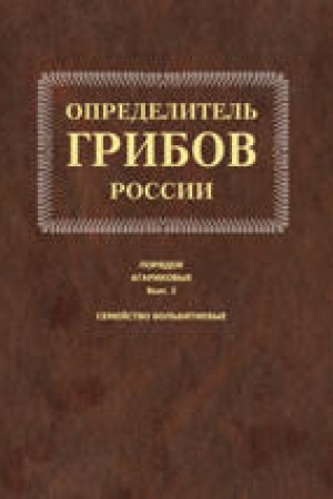 Обложка: В гостях у Бабы-Яги