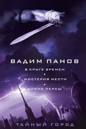Обложка: В круге времен. Мистерия мести. Дикие персы