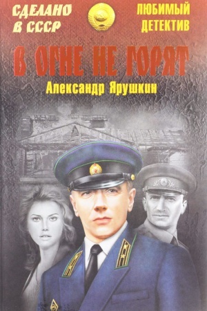 Buchcover: V ogne ne gorjat