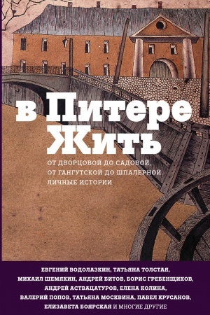 Buchcover: V Pitere žit′