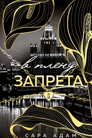 Обложка: В плену запрета