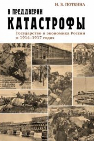 Cover: V preddverii katastrofy. Gosudarstvo i ekonomika Rossii v 1914–1917 godach