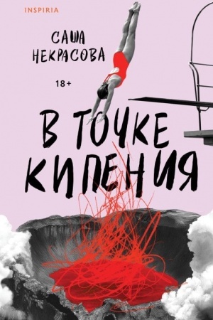 Buchcover: V točke kipenija