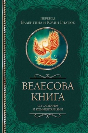 Buchcover: Velesova kniga so slovarem i kommentarijami