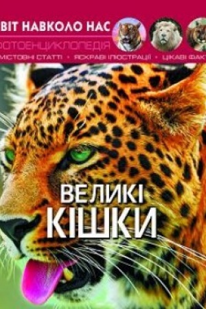 Cover: Velyki kishky