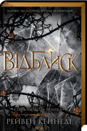 Cover: Vidblysk (kn 2)