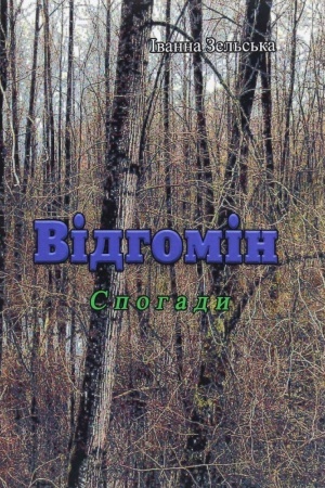Cover: Vidhomin.