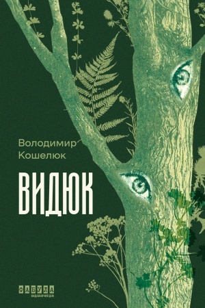 Buchcover: Vidjuk