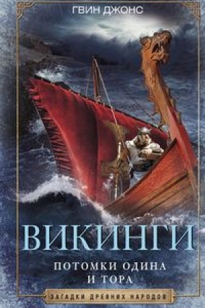 Buchcover: Vikingi. Potomki Odina i Tora