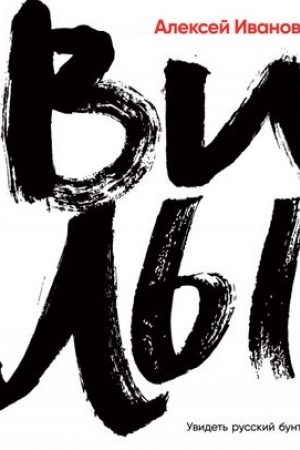 Buchcover: Vily