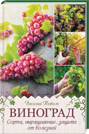 Buchcover: Vinograd. Sorta, vyračšivanie, začšita ot boleznej