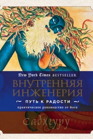 Buchcover: Vnutrennjaja inženerija. Put′ k radosti. Praktičeskoe rukovodstvo ot joga.