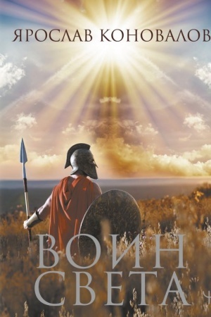 Cover: Voin Sveta