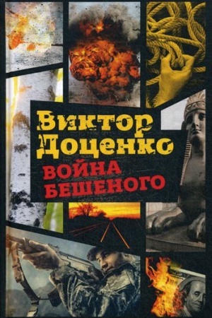Обложка: Война Бешеного