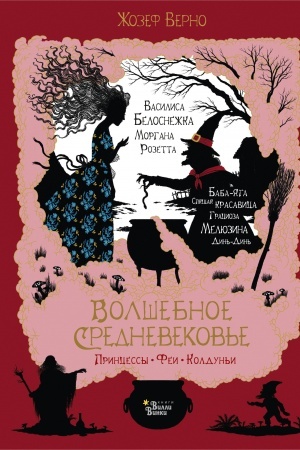Обложка: Волшебное Средневековье. Принцессы. Феи. Колдуньи