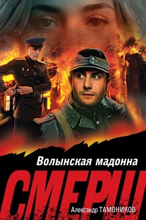 Cover: Volynskaya madonna