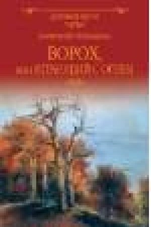 Обложка: Ворох, или Играющий с огнем