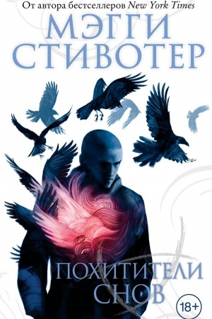 Обложка: Вороновый круг. Похитители снов