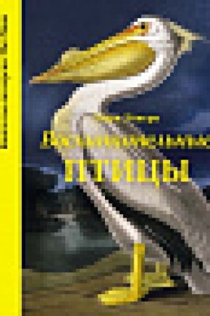 Buchcover: Voschititel′nye pticy