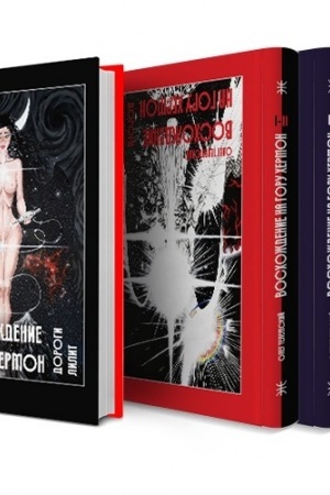 Buchcover: Voschoždenie na goru CHermon. V 5-i tomach. (Komplekt iz 4-ch knig)
