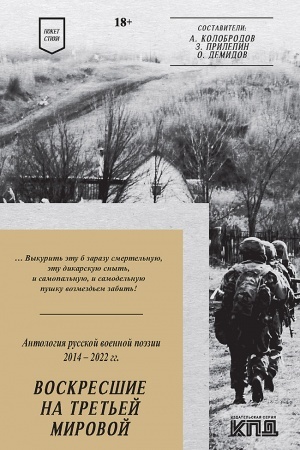 Cover: Voskresshie na Tret′ej mirovoj. Antologiya voennoj poezii 2014 - 2022 gg. Stichi