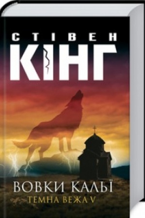 Buchcover: Vovky Kal′ï: Temna veža V