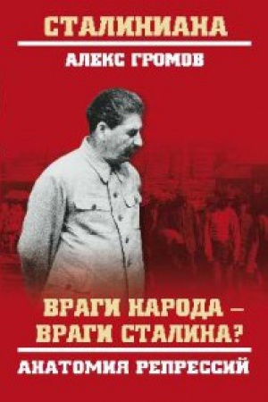Cover: Vragi naroda-vragi Stalina?Anatomiya repressij