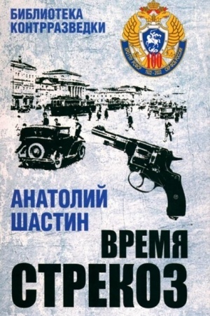 Buchcover: Vremja strekoz