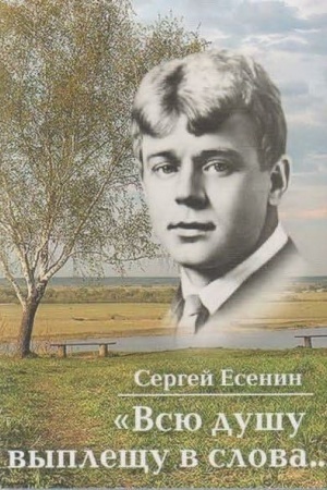 Buchcover: Vsju dušu vyplečšu v slova…