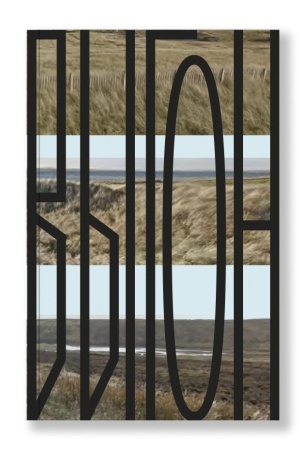 Buchcover: Vygon