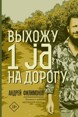 Cover: Vychozhu 1 ja na dorogu