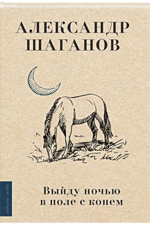 Buchcover: Vyjdu noč′ju v pole s konem