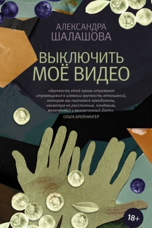 Обложка: Выключить моё видео