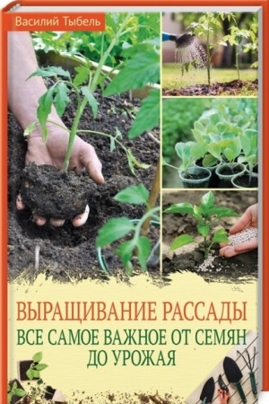 Buchcover: Vyračšivanie rassady. Vse samoe važnoe ot semjan do urožaja