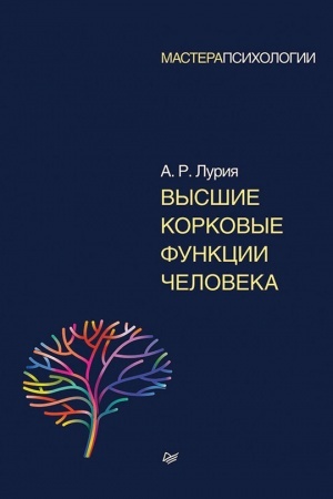 Обложка: Высшие корковые функции человека