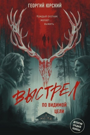 Обложка: Выстрел по видимой цели