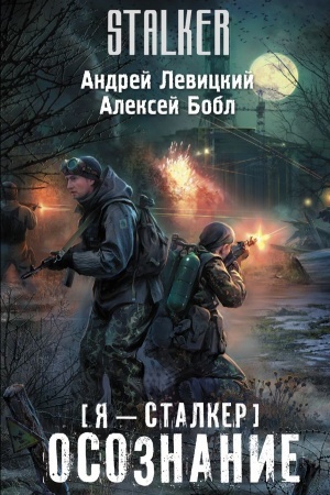 Buchcover: JA — stalker. Osoznanie