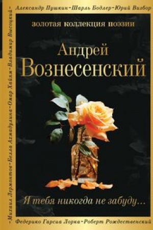 Buchcover: JA tebja nikogda ne zabudu...