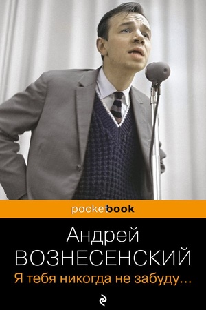 Buchcover: JA tebja nikogda ne zabudu...