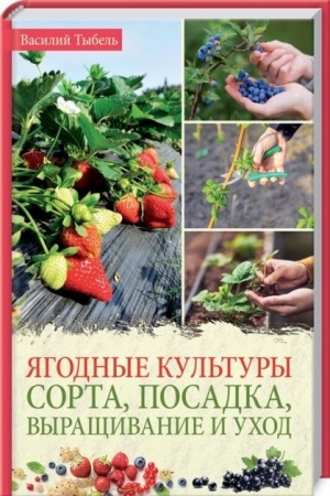 Buchcover: JAgodnye kul′tury. Sorta, posadka, vyračšivanie i uchod (rab.)