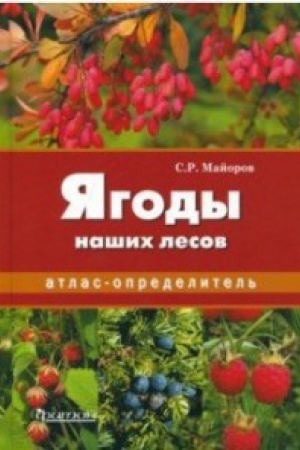 Buchcover: JAgody naših lesov
