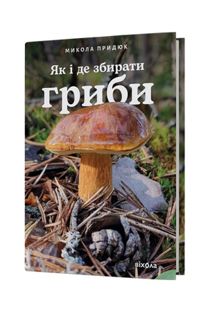 Buchcover: JAk i de zbyraty hryby