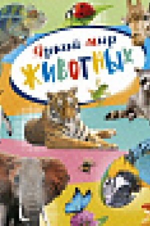 Cover: YArkij mir zhivotnych