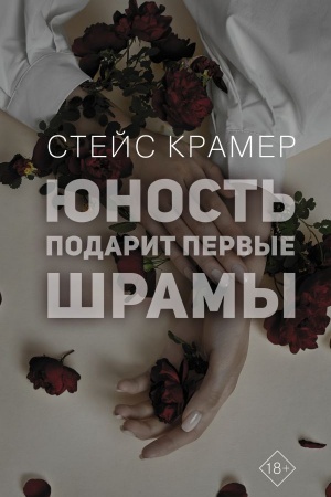 Buchcover: JUnost′ podarit pervye šramy