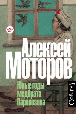 Обложка: Юные годы медбрата Паровозова