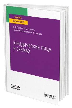 Cover: YURIDICHESKIE LICA V SCHEMACH. Uchebnoe posobie dlya vuzov