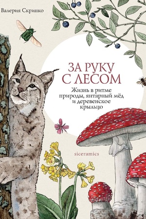 Buchcover: Za ruku s lesom. Žizn′ v ritme prirody, jantarnyj mëd i derevenskoe kryl′co