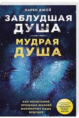 Buchcover: Zabludšaja duša - mudraja duša. Kak ispytanija prošlych žiznej formirujut naše budučšee
