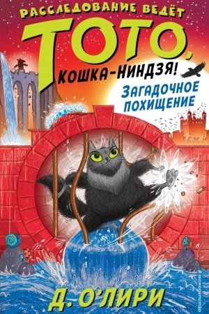 Обложка: Загадочное похищение. Выпуск 4
