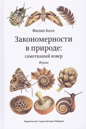 Buchcover: Zakonomernosti v prirode: samotkannyj kover
